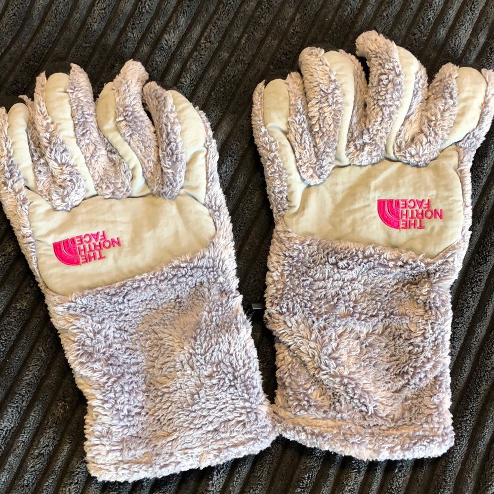 The North Face gloves